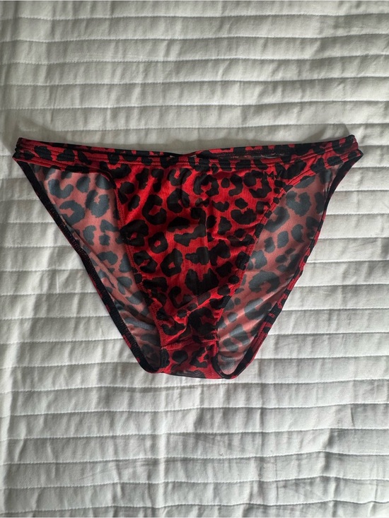 Modus Vivendi Other - MODUS VIVENDI Men's Red Leopard Sheer Briefs - Bold Animal Print